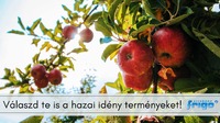 Szezonális gyümölcsök és zöldségek